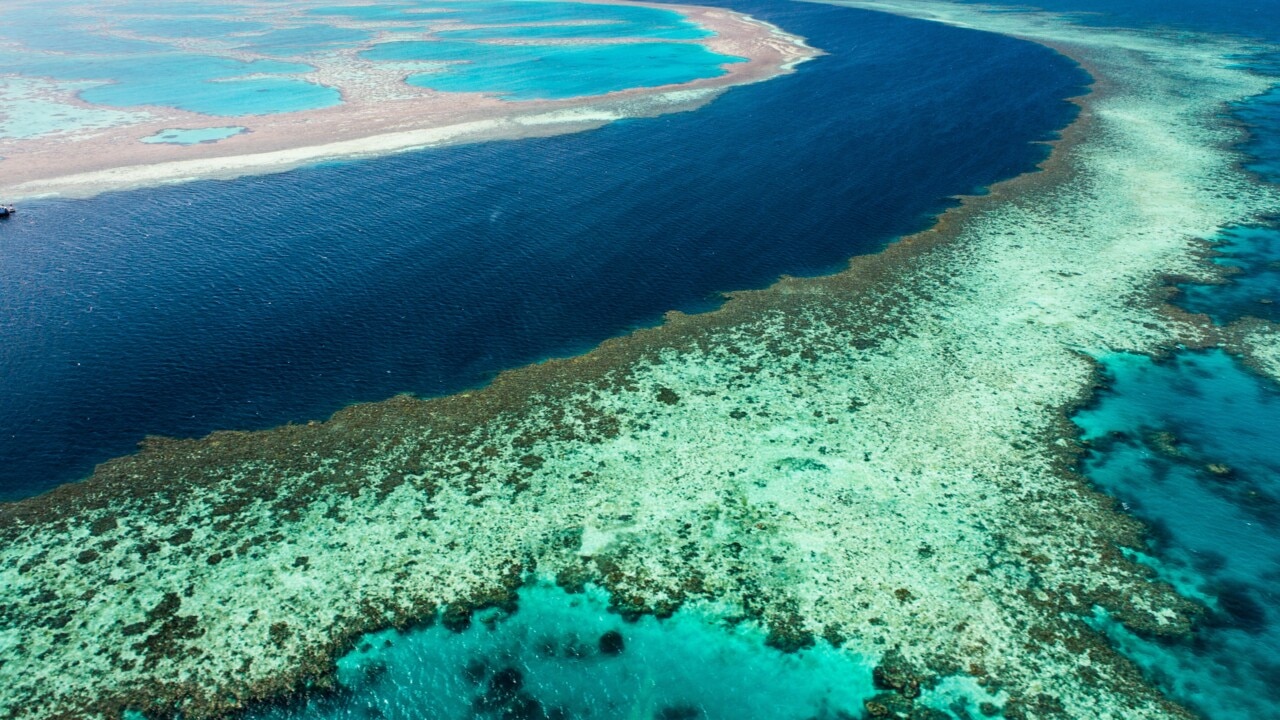 Severe coral bleaching in Great Barrier Reef