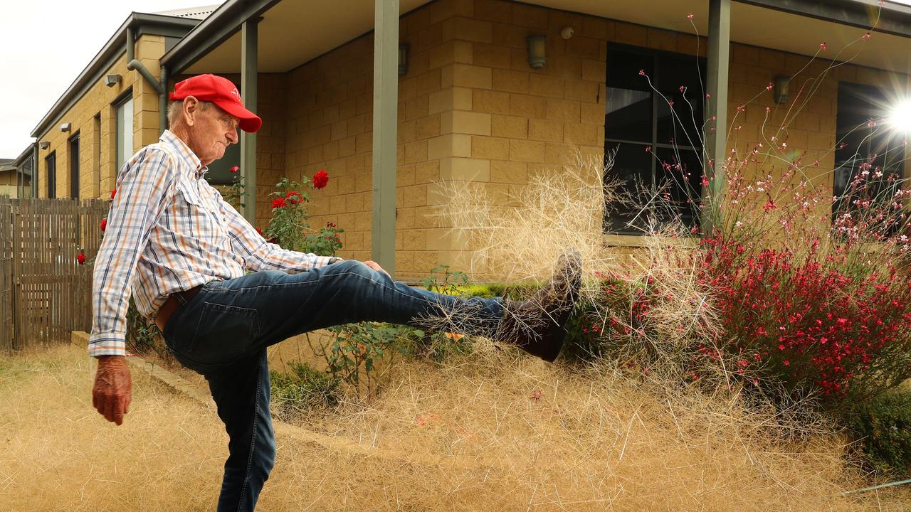 John Anderson's Batesford home has been inundated with tumbleweed. Picture: Alison Wynd