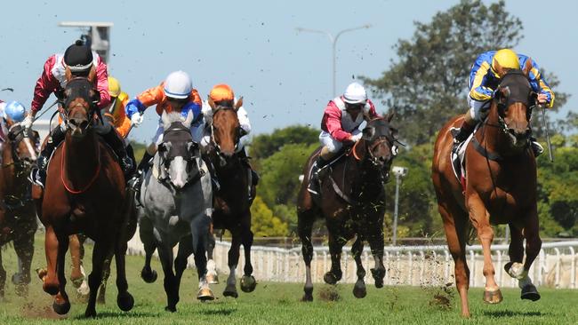 Casual Choice winning at Doomben. Picture: Grant Peters, Trackside Photography