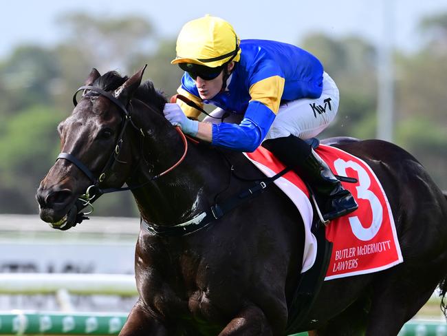 Kyle Wilson-Taylor rides Punch Lane home at the Sunshine Coast for trainers Anthony and Sam Freedman. Picture: Grant Peters - Trackside Photography