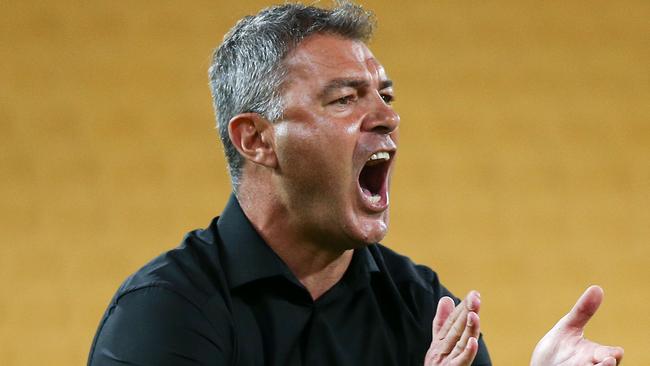Wellington Phoenix coach exhorts his players during their win over Central COast Mariners at Westpac Stadium. Picture: Getty Images