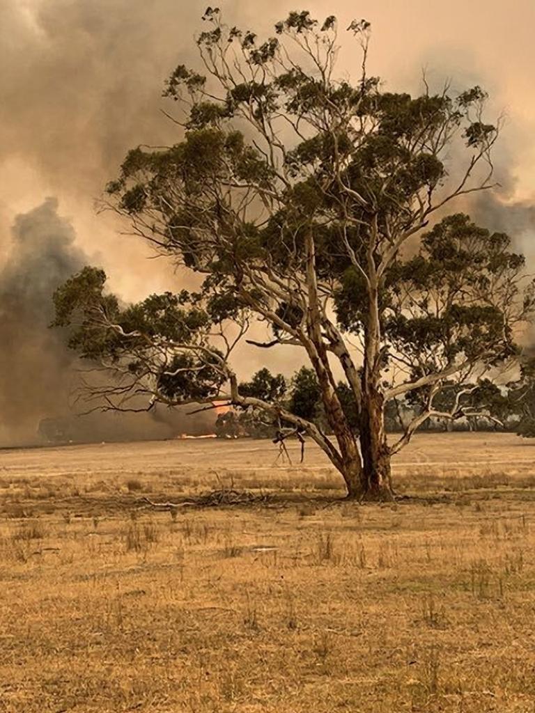 Bushfires Victoria: Houses Destroyed Pomonal CFA Crew Escapes | The ...