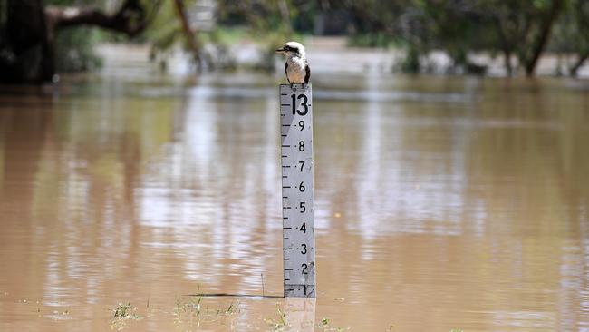 One in two Australians are deeply concerned the country is not sufficiently prepared to cope with the incoming La Niña summer. Picture: Dan Peled/ AAP.