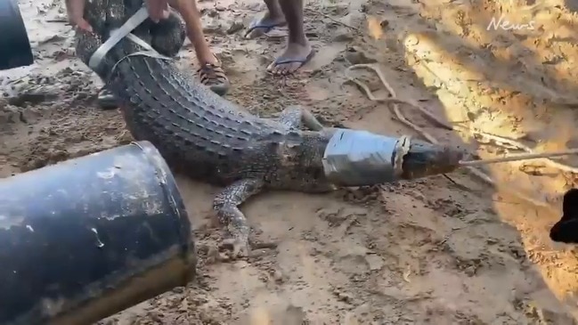 Tommy Nichols catches a crocodile from Rapid Creek