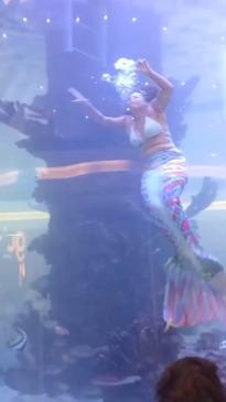 Mermaid performer nearly drowns in front of shoppers