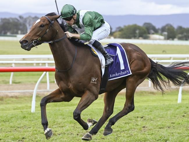 House Of Cards, pictured winning at Hawkesbury in September last year, is Mitch Cohen's best bet of the day at Warwick Farm on Wednesday. Picture: Bradley Photos