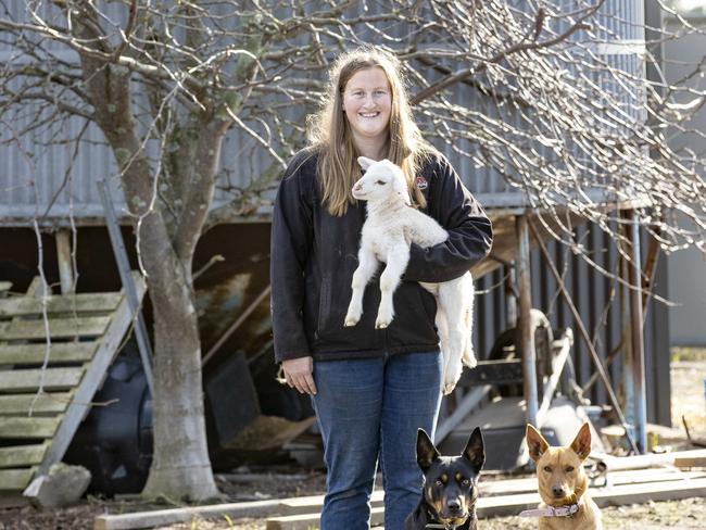 SHINE Ellie McDonald on farm at Dadswells BridgeEllie McDonald has a sheep stud 'Hopea White Suffolks' and is a volunteer for the CFAPICTURED: Ellie McDonald with White Suffolk lamb L-R Kelpie named Holly and Kelpie named Jess.Picture: Zoe Phillips