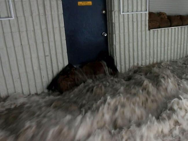 Professional storm chaser Daniel Hair has captured incredible video of the storm surge hitting Mackay QLD. Cyclone Debbie - Mackay storm surge on coast. Picture: Daniel Hair/Severe Weather