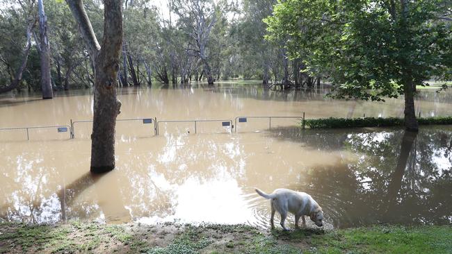 The Bureau of Meteorology has issued severe thunderstorm and flooding warnings in East Gippsland and northeast Melbourne. Picture: Alex Coppel.