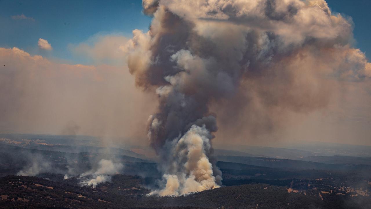 There are fears of future bushfires if El Nino comes into force. NCA NewsWire / Tony McDonough