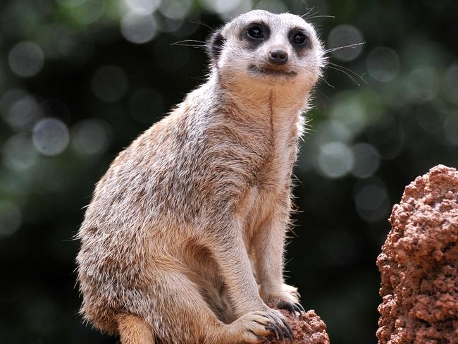 Young girl on excursion left alone at zoo