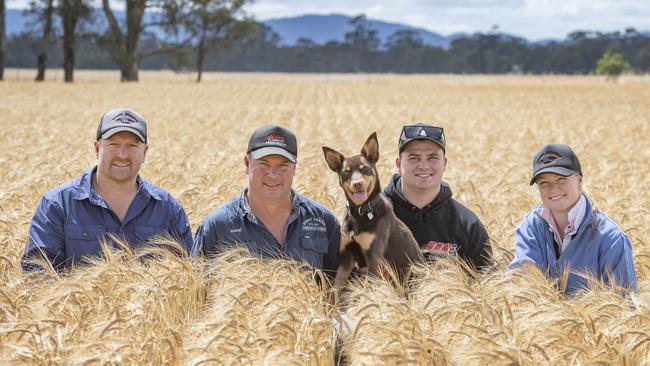 L-R: Jarrod, Shane, Jaxon (Shane's son) and Elise Bibby and Kelpie named Macey. Picture: Zoe Phillips