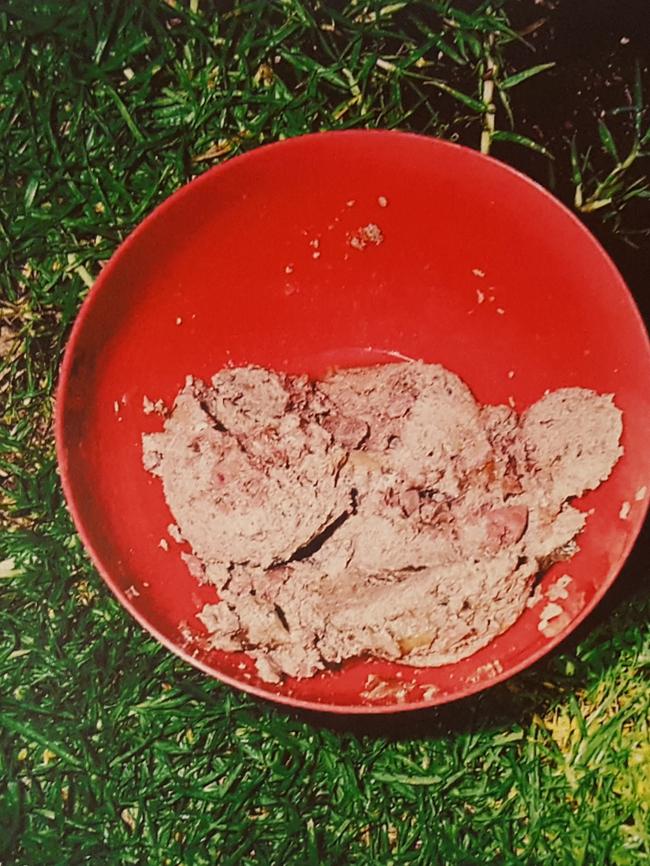 The dog food, in a picture tendered as evidence. Picture: SA Police