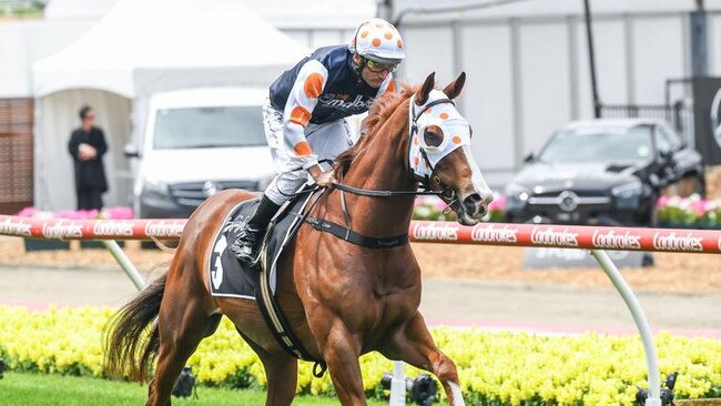 Consistent galloper Just Folk should have every chance to win Saturday’s Group 3 Eclipse Stakes at Caulfield. Picture: Racing Photos via Getty Images