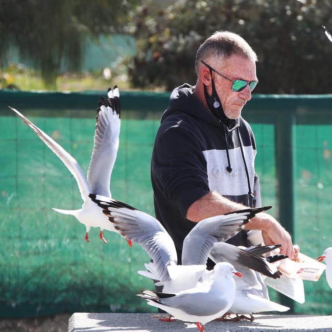 Local Surfers Paradise man known only as Murray makes sure the Seagulls are fed during lockdown. Picture Glenn Hampson
