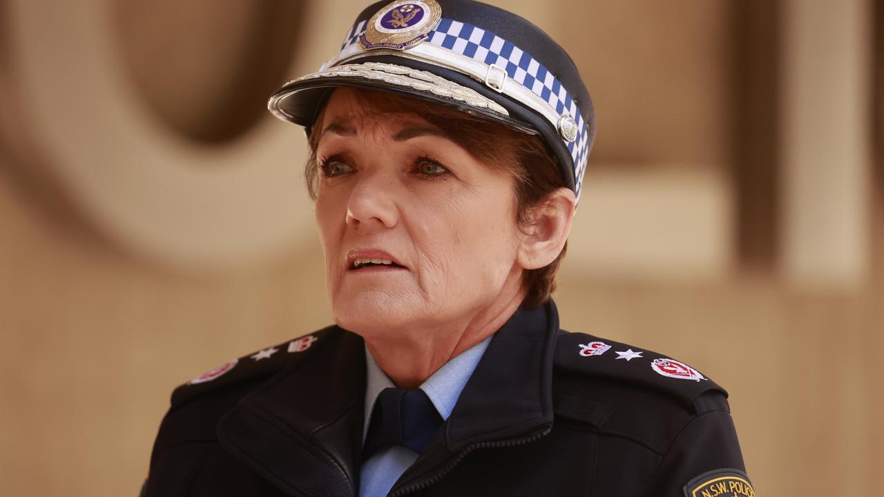 Evil In Your Home domestic violence campaign: NSW Police boss Karen ...