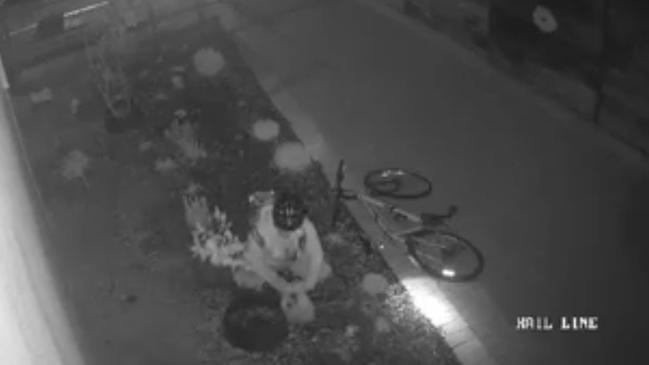 The thief was caught on video stealing a lemon tree from the Largs Bay RSL memorial garden on August 18.