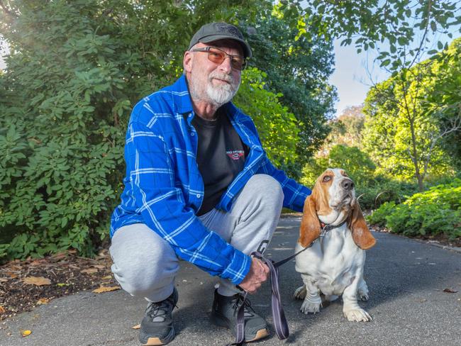 RSPCA SA's Million Paws Walk in Adelaide on May 25, 2025. Picture: Ben Clark