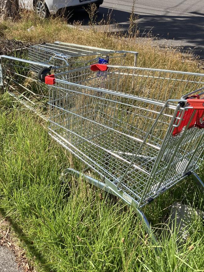 Trolleys are regularly used to dump household items then abandoned on nature strips.