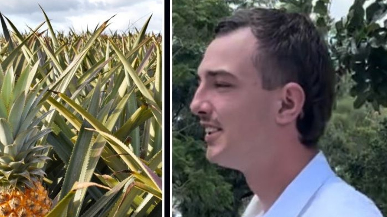 Caleb Mead, 20, pictured, told the court he had been working on the Maxwellsâ&#128;&#153; farm when the incident happened on August 1, 2022, when he was picking pineapples with other workers.