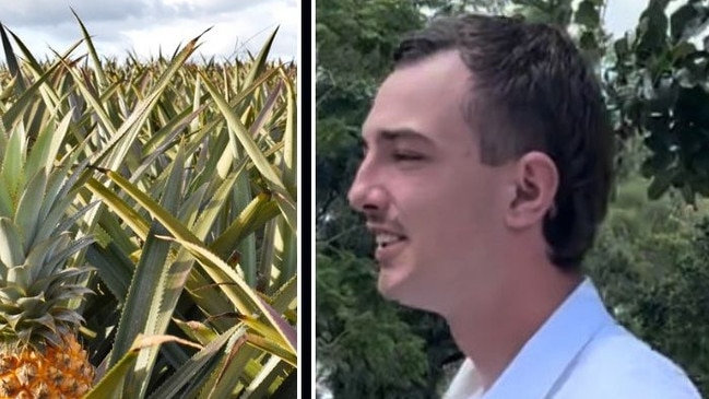 Caleb Mead, 20, pictured, told the court he had been working on the Maxwellsâ€™ farm when the incident happened on August 1, 2022, when he was picking pineapples with other workers.