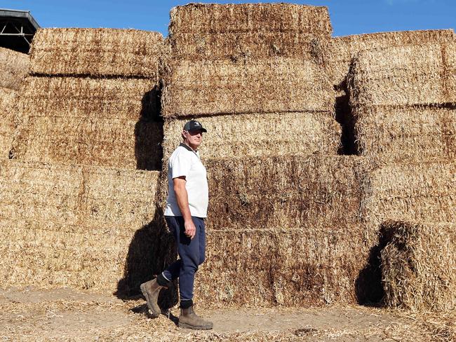 Dairy Farmer Gavin Moore with hay donated by the Dilly Drought Drive and Need for Feed on his farm in Glenmore. Picture: Tim Hunter.