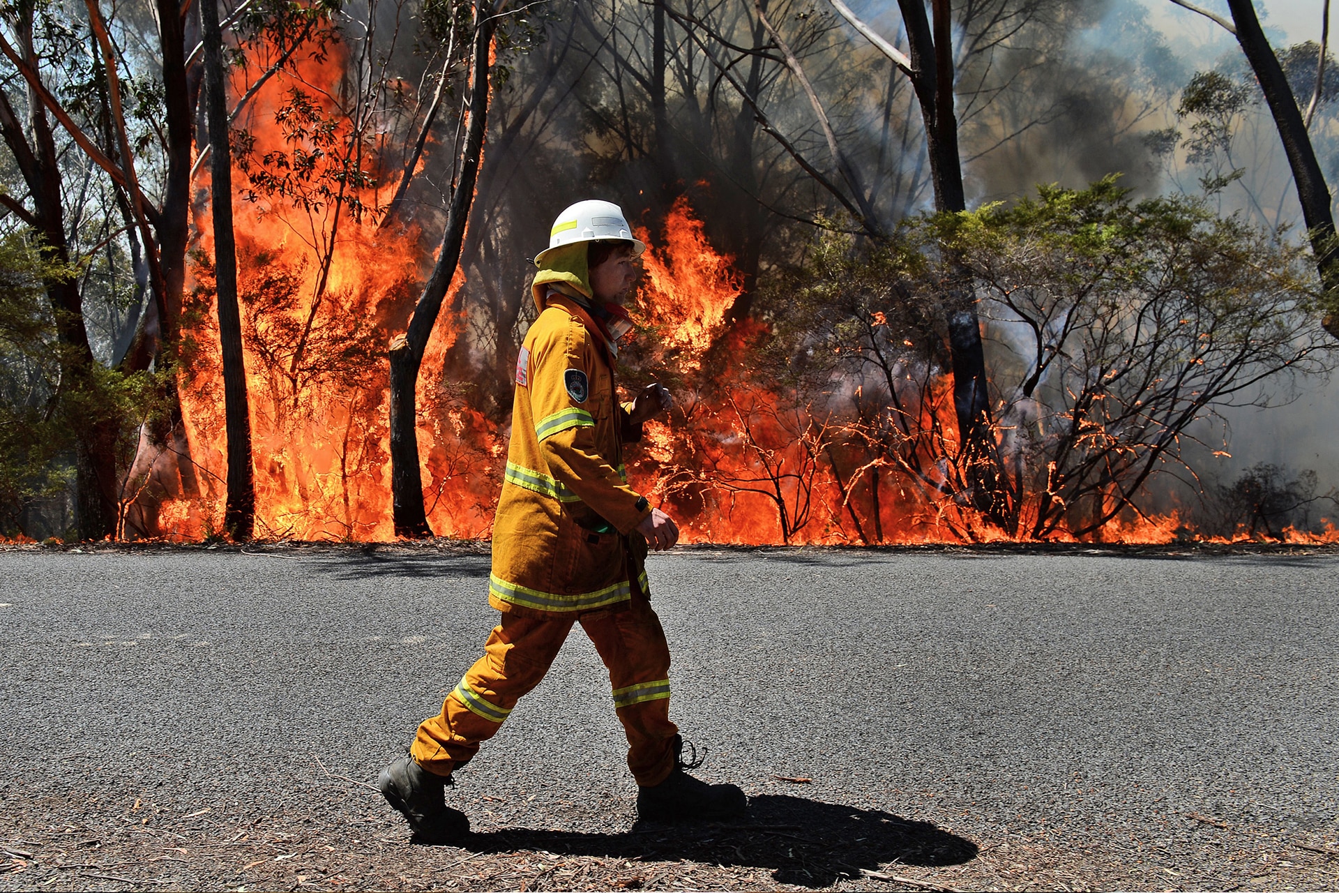 How To Volunteer To Become A Firefighter In NSW, QLD And ...