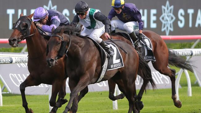 Mr Brightside won his second Doncaster Mile earlier in the year. Picture: Jeremy Ng–Getty Images