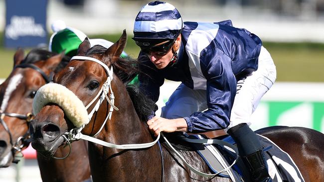 Kinane is a young stayer on the rise. Picture: AAP