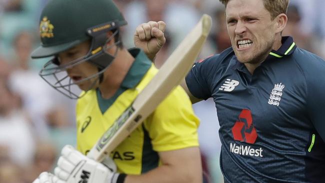 England's David Willey celebrates taking the wicket of Australia's Travis Head during the one-day cricket match between England and Australia at the Oval cricket ground in London, Wednesday, June 13, 2018. The game is the first of a five match one-day series between the two sides. (AP Photo/Matt Dunham)