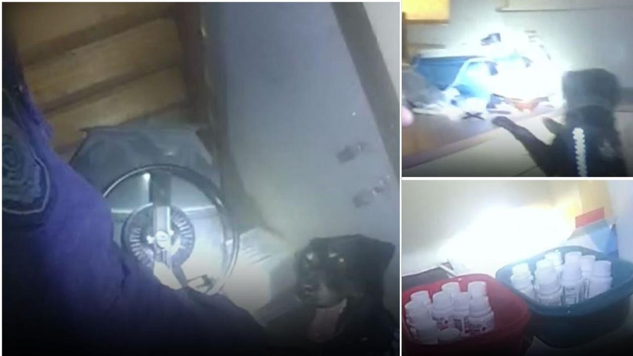 ‘Look at all this’: Watch moment police uncover alleged drug lab