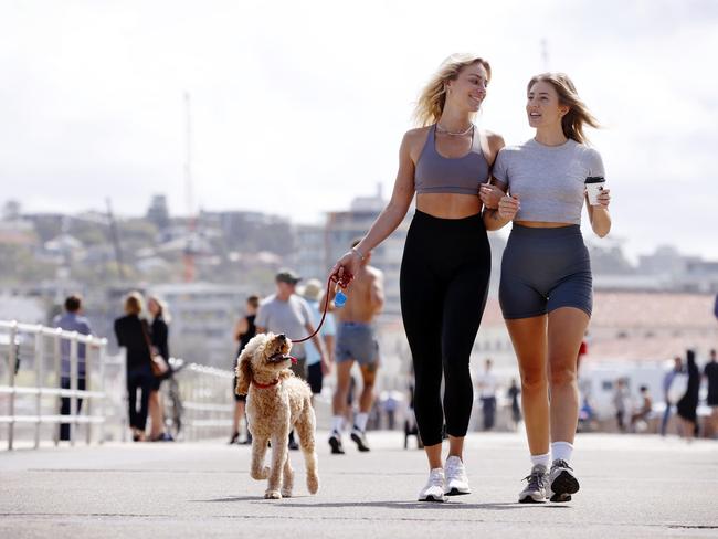 UK tourists Charlotte Lowrence (left) and Sophie Goodman with Garry the dog. Picture: Sam Ruttyn