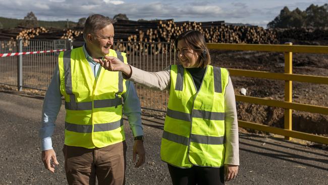 Labor leader Anthony Albanese and Labor’s candidate for Eden-Monaro Kristy McBain at the Hyne Timber Sawmill, in Tumbarumba, NSW. Picture: Sean Davey