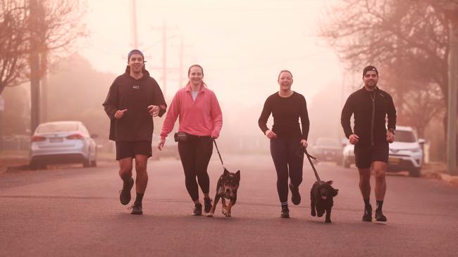 Isaac Naqash, Harriet Spork, Zali Thomas and Dayyan Gil with dogs Pie (Oodle) and Kelpie Eddie. Picture: Rohan Kelly