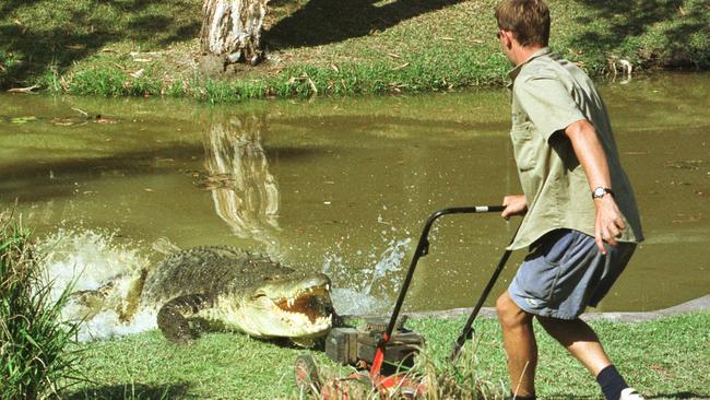 “Agro” the giant 4.7m crocodile attacks keeper Brian Coulter’s lawnmower while mowing the enclosure area at Australia Zoo in 2000. Picture: Supplied