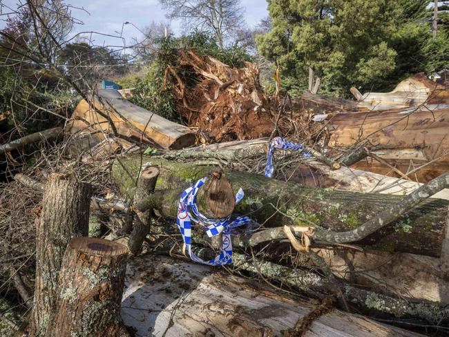 MELBOURNE, AUSTRALIA - NewsWire Photos JUNE 14th, 2021: Generic pictures taken around Kalorama in the Dandenong ranges after last weeks storms brought down trees crushing many homes.Picture: NCA NewsWire / Wayne Taylor