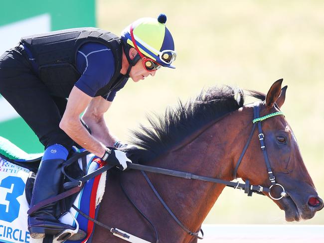 Magic Circle gallops during a Werribee trackwork session. Picture: Getty Images