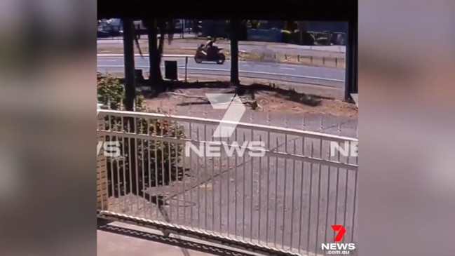 'Hoon' motorcyclist caught travelling at 220km-ph in 90 zone at Bolivar (7NEWS)