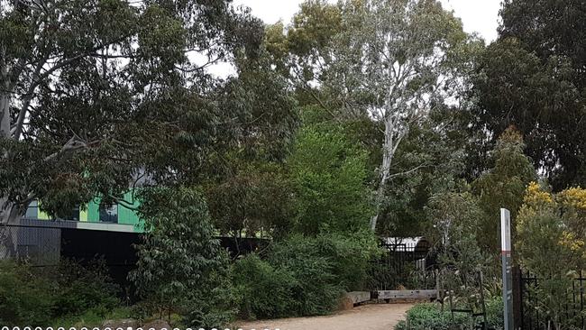 Outside the West Richmond Primary School before the fence was built.