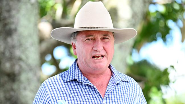 Deputy Prime Minister Barnaby Joyce. Picture: NCA NewsWire/Dan Peled