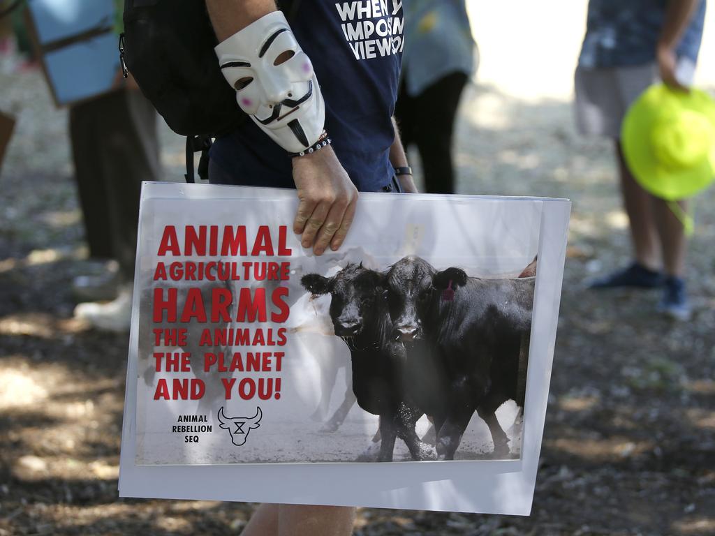 Extinction Rebellion ‘spring rebellion’ protests in Brisbane. Picture: Regi Varghese/AAP