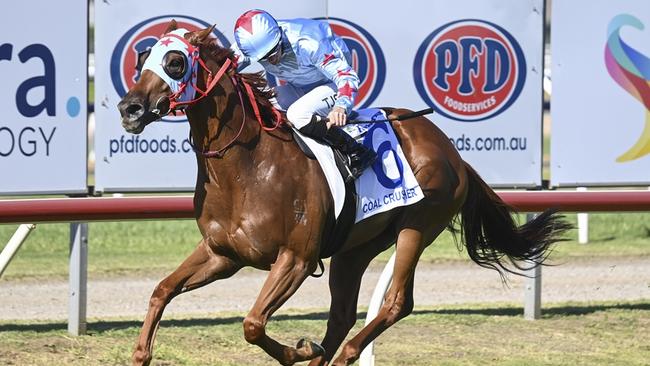 Coal Crusher dominates his rivals with an all-the-way win in The Hunter. Picture: Bradley Photos