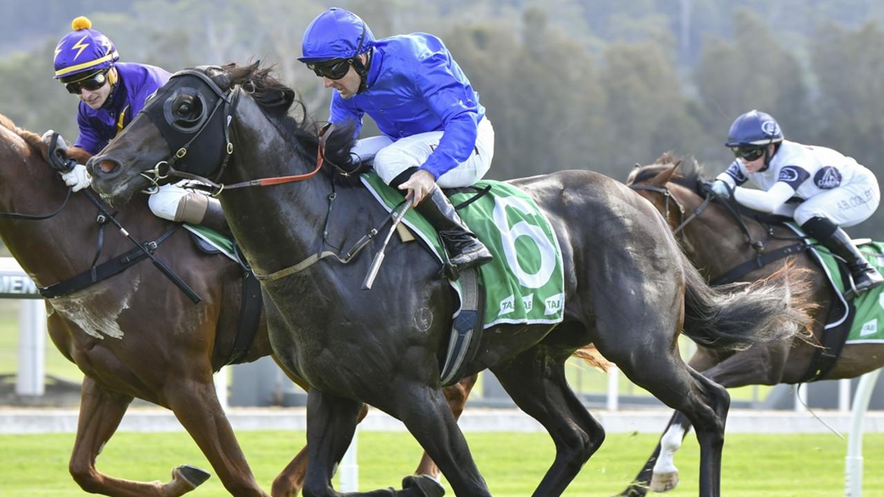 Los Padres resumes as a gelding and can kick off his campaign with a win at Kembla on Thursday. Picture: Bradley Photos