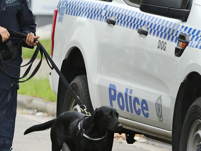 Pictured is a police dog and handler at the scene of a suspected murder in Smithfield where a body has been found in a burnt out car.Picture: Richard Dobson