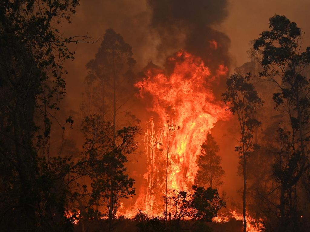 A fire rages in Bobin, 350km north of Sydney on November 9, 2019, as firefighters try to contain dozens of out-of-control blazes that are raging in the state of New South Wales. Picture: Peter Parks/AFP