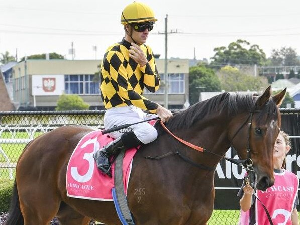 Clear Thinking put in a head-turning debut performance at Scone on Tuesday. Picture: Bradley Photos