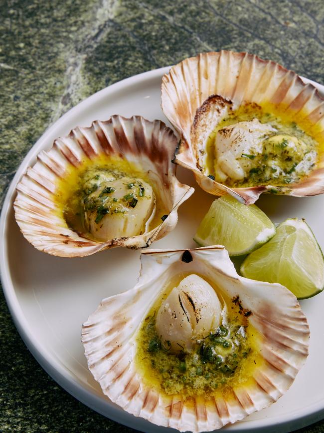 Wood-roasted scallops. Picture: Parker Blain