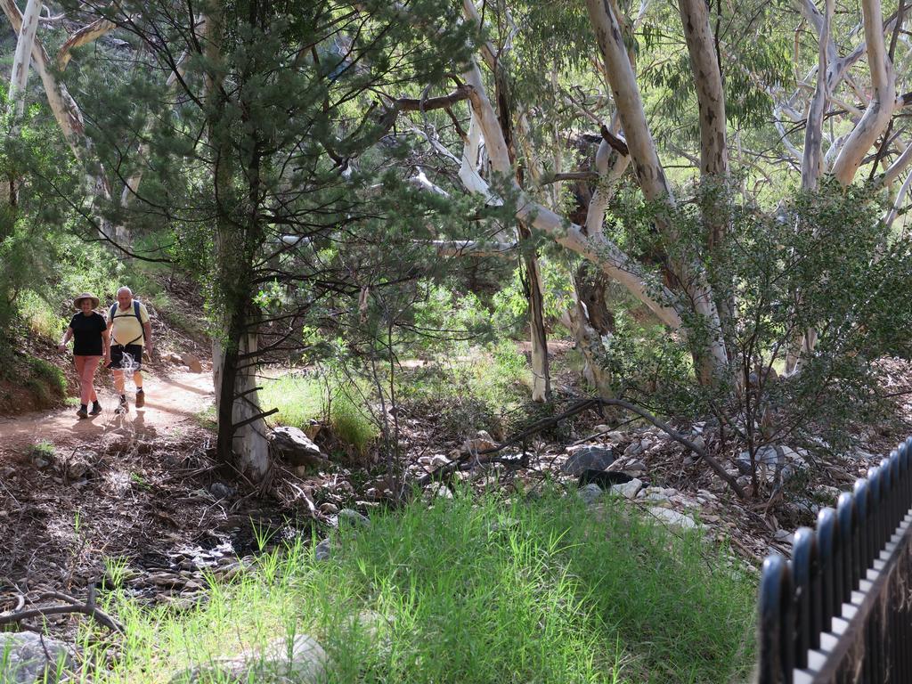 Walkers on Standley Chasm.