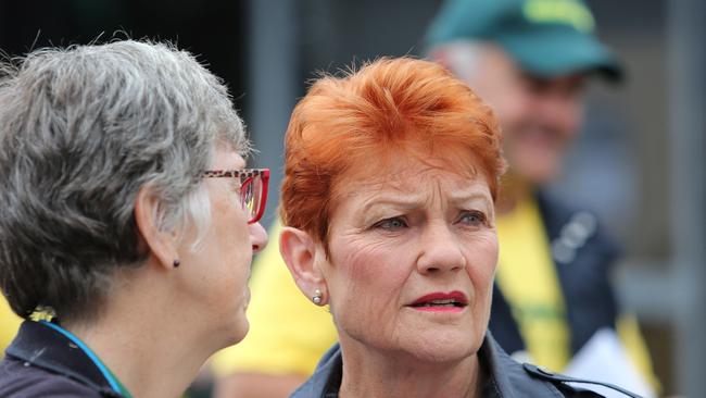 Senator Pauline Hanson. Picture: NCA NewsWire/Peter Lorimer.