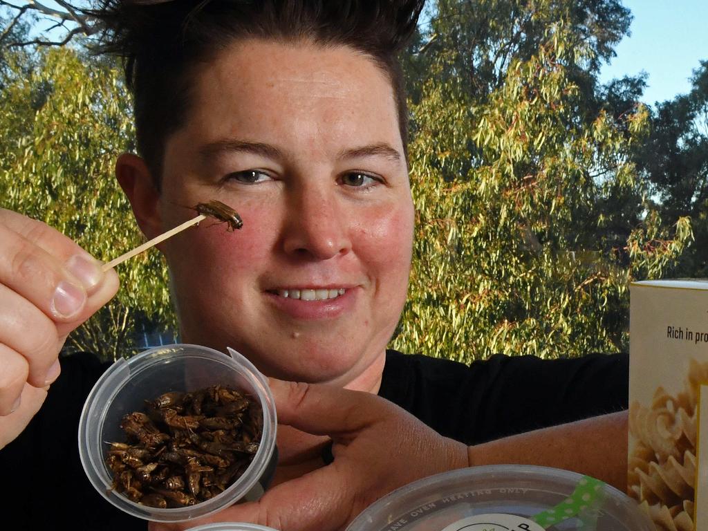 Crunch the numbers: Why edible insects mean big business